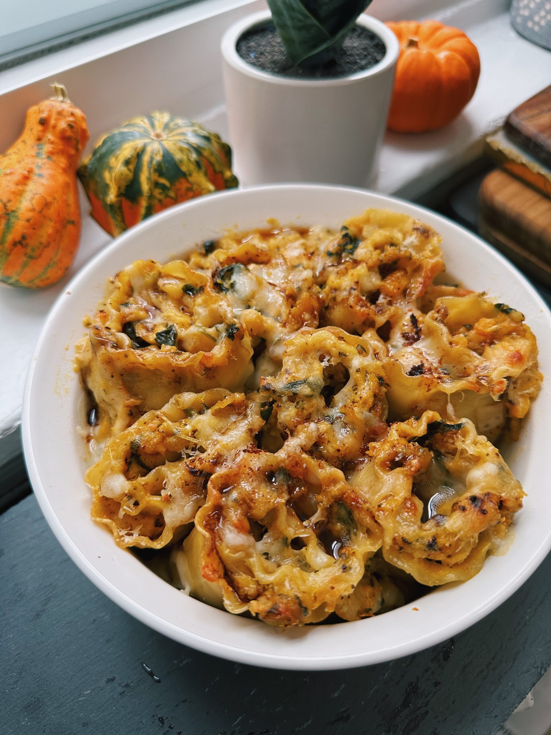 cheesy butternut squash roll ups