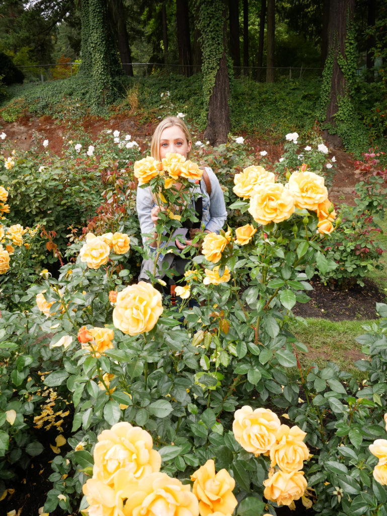 Woman with yellow roses Portland rose garden