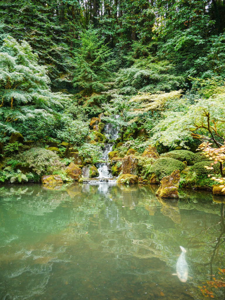 pond at Portland Japanese Garden