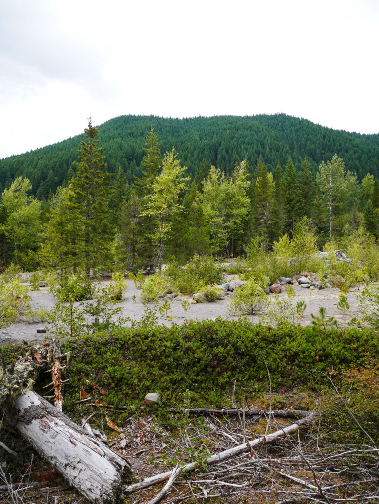 Ramona falls hiking trail at Mount Hood oregon