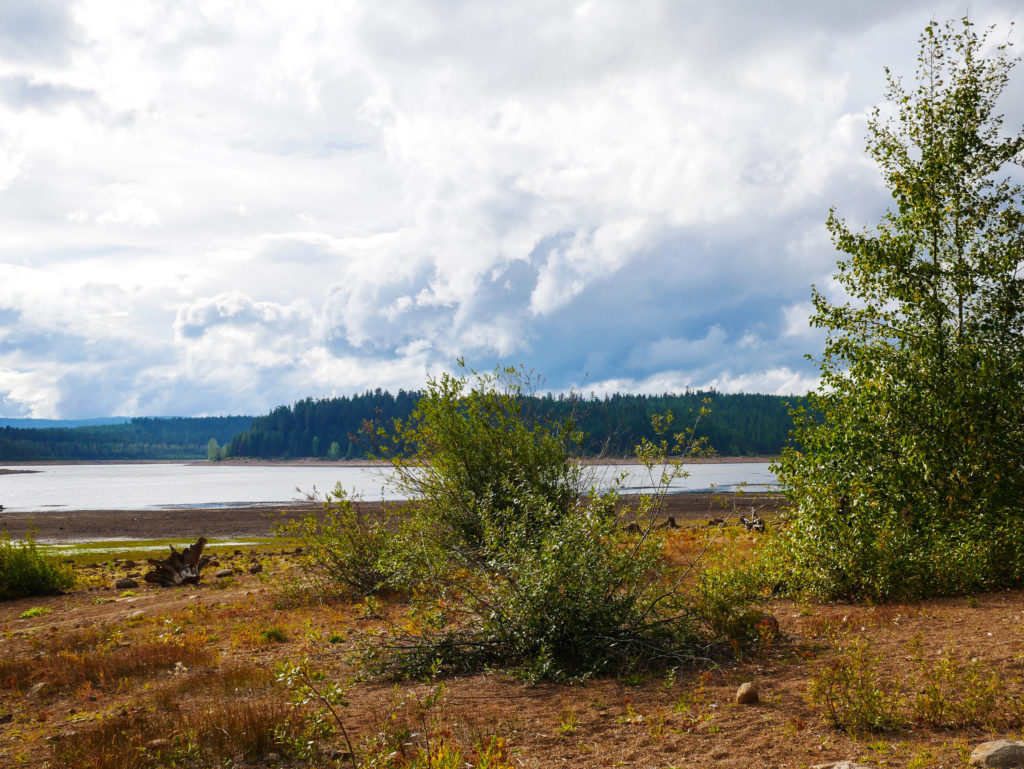 Clear Lake Oregon trees and lake